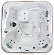 Whirlpool DS 100